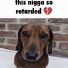 joshwillneverstop