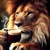 haitham3131133hs