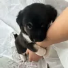 sangbaby_