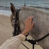 mool_97
