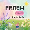 praewcraft15