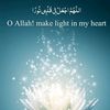nour_nour_11