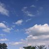kelaranterus_4
