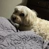 eddie_e7