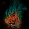 theflamingrose8