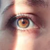 kalmy_cayman_