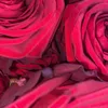 kalid_6607