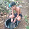 waysteha