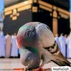 shakil363961287
