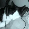 mitskily_