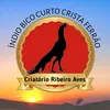 criatorioribeiroav