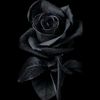 aboomar778