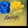 abo.al3z08