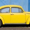 mitz00031683