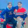 shanimalik615
