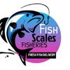 fishscales2020