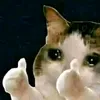 Hoangthunhat