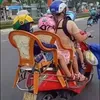 funny_pig0