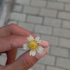 _byn04