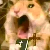 dyqgzf4nb9ug