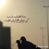 waleedbinamer
