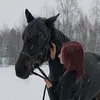 wrr.ner