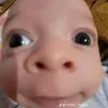 ngohello5