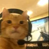 g4merb4y