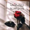 hodaghaly419