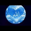 am.assem