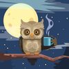 booknightowl6