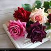 ome.mohamed78