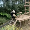 nguyenthuphuong_5210