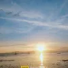 dongcy7