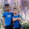 dyrgv44dsuju