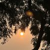 swikriti_236