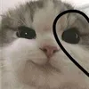 artemer_gd