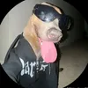 luis12tik