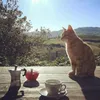 kimi.2310