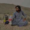 saqib_lehri7
