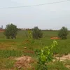 benbenben366