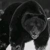 aydin__0002