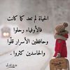 loudi_56
