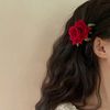 raghda7753