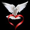 souhiljaz__88