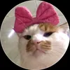 luhlovescbjr_