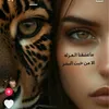 sirlvb12ghdgmail.com