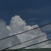 Xien_s