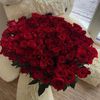 rose_tulipe