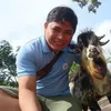tanphuc999